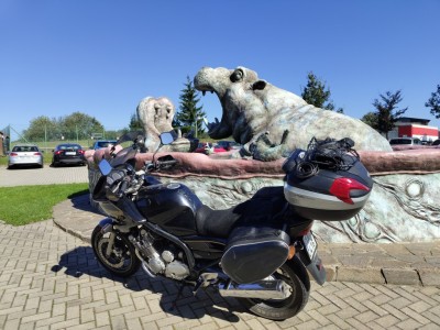 IMG_20240922_113718695_copy_1024x768.jpg (251.39 KiB) Zobrazeno 2809 x Hroši