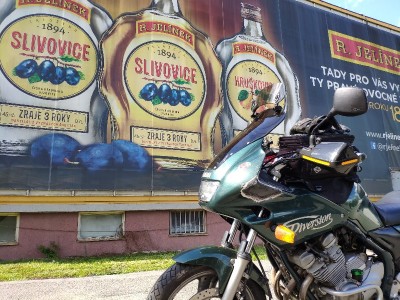 Léčivé prameny v okolí