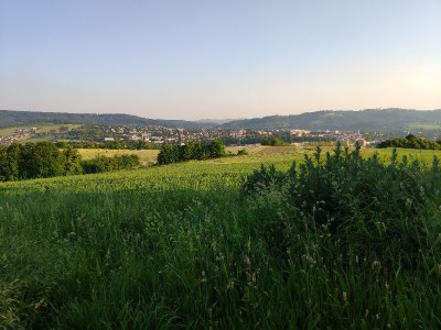 1623414846493_copy_800x600.jpg (149.48 KiB) Zobrazeno 2195 x Pohoda